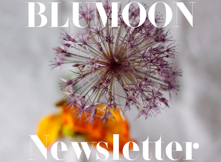 Blumoon Newsletter Fotografie Copyright Claudia Hohlweg