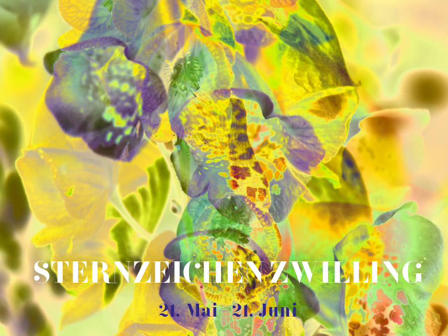 Zwillinge kennenlernen