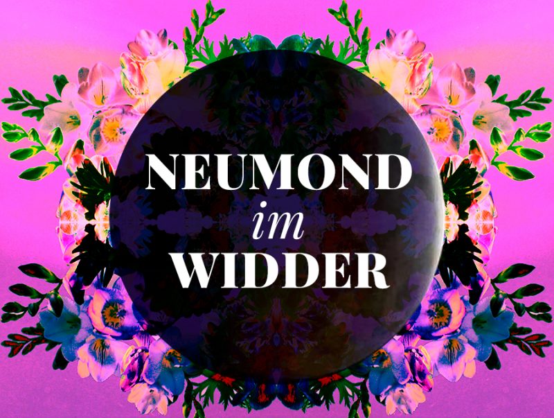 Neumond Widder, Illustration und © Claudia Hohlweg für Blumoon