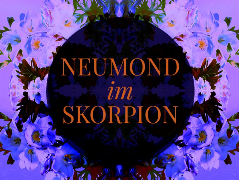Farbige Illustration zum Skorpion-Neumond