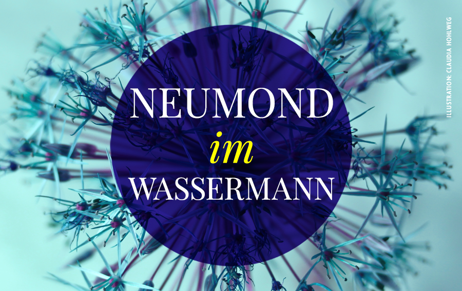 Neumond Im Wassermann Die Zukunft Ist Jetzt Blumoon Astrologie
