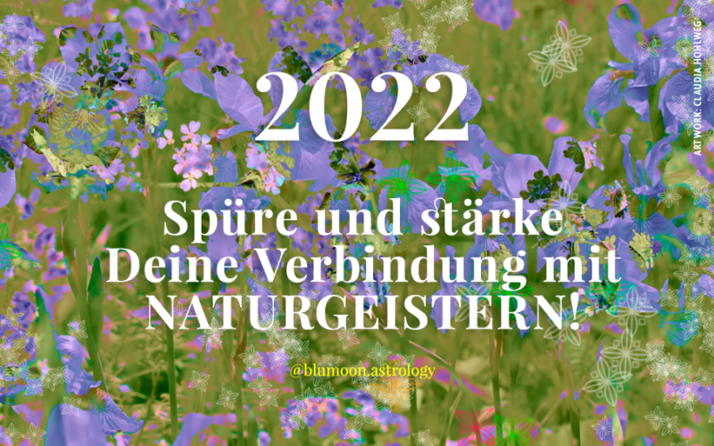 2022 Naturgeister, Text und © Sandra Rommersbach, Artwork und © Claudia Hohlweg für Blumoon