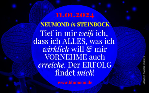 2024 Neumond Steinbock, Artwork und © Claudia Hohlweg für BLUMOON