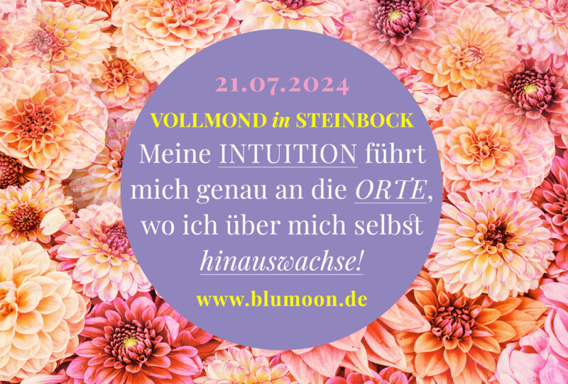 2024 Vollmond in Steinbock, Text und Copyright Claudia Hohlweg für BLUMOON