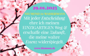  Neumond im Wassermann 29.01.2025 - BLUMOON ASTROLOGIE Illustration 