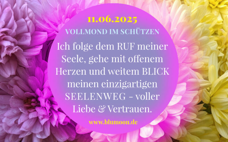 Artwork und © Claudia Hohlweg für BLUMOON
