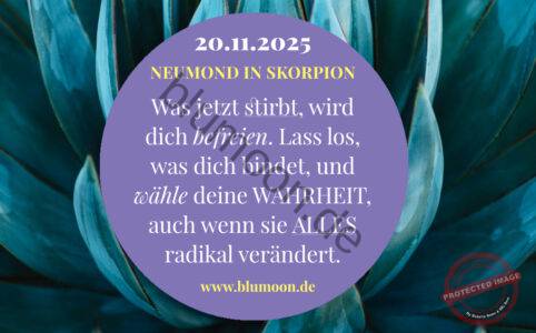 Neumond in Skorpion 2025, Artwork und © Claudia Hohlweg für BLUMOON