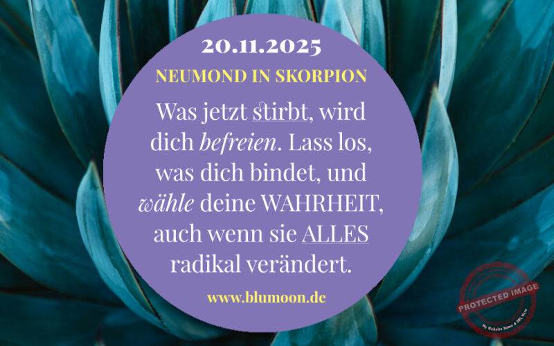 Neumond in Skorpion 2025, Artwork und © Claudia Hohlweg für BLUMOON