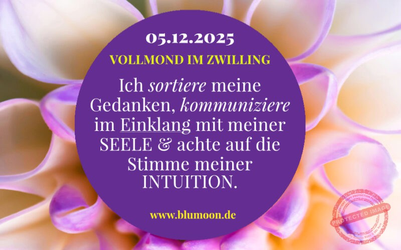 2025 Vollmond Zwilling 05.12.2025, Artwork und © Claudia Hohlweg für BLUMOON