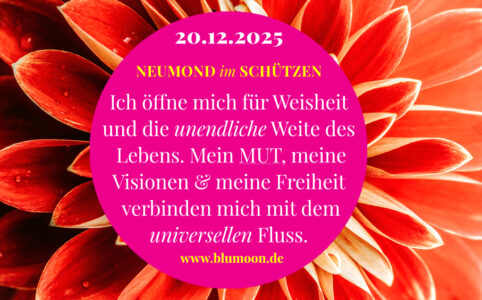 2025 Neumond im Schützen, Artwork und © Claudia Hohlweg für BLUMOON