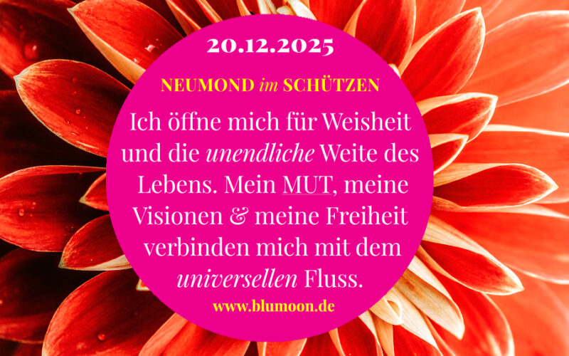 2025 Neumond im Schützen, Artwork und © Claudia Hohlweg für BLUMOON