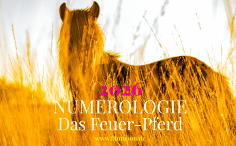 2026 Feuer-Pferd, Artwork und © Claudia Hohlweg für BLUMOON