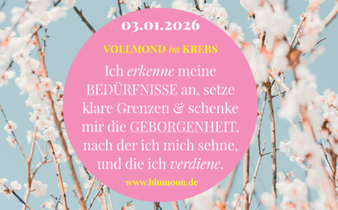 2026 Vollmond Krebs, Artwork und © Claudia Hohlweg für BLUMOONArtwork und © Claudia Hohlweg für BLUMOON