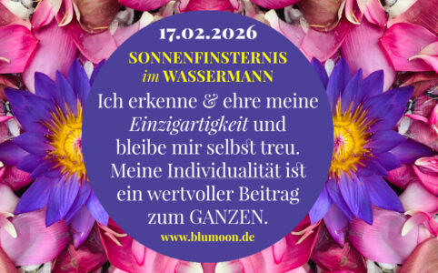 Artwork und © Claudia Hohlweg für BLUMOON