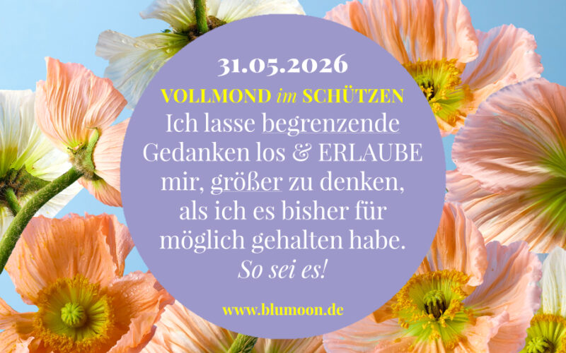 2026 Vollmond Schütze, Artwork und © Claudia Hohlweg für BLUMOON