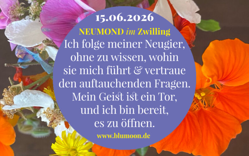 2026 Neumond im Zwilling, Artwork und © Claudia Hohlweg für BLUMOON