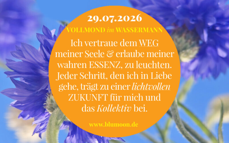 2026 Vollmond Löwe, Artwork und © Claudia Hohlweg für BLUMOON