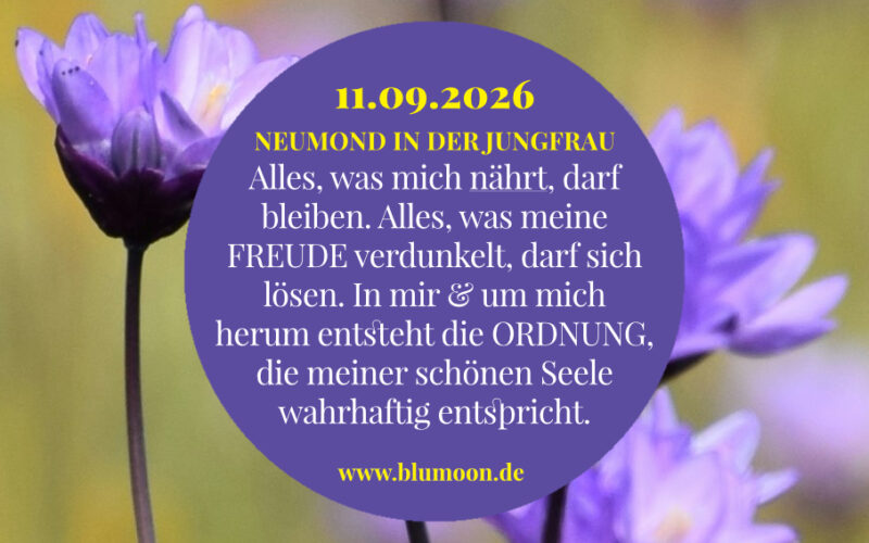 2026 Neumond in der Jungfrau, Artwork und © Claudia Hohlweg für BLUMOON